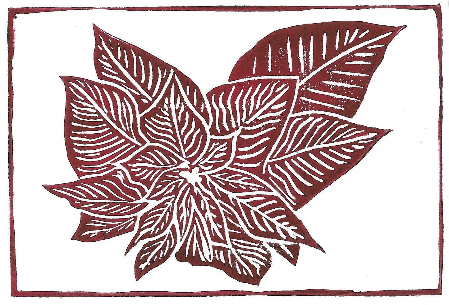 Poinsettia Linoleum Print