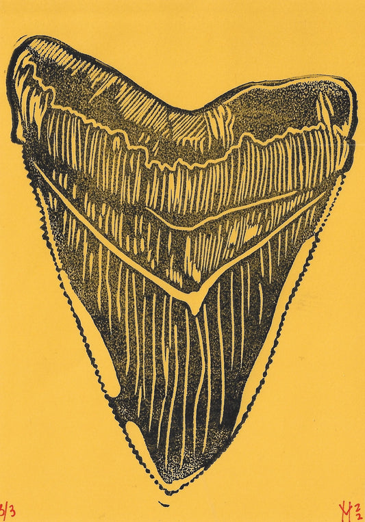 Megalodon Tooth Linoleum Print